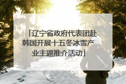 辽宁省政府代表团赴韩国开展十五冬冰雪产业主题推介活动