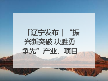 辽宁发布｜“振兴新突破 决胜勇争先”产业、项目、民生齐发力 葫芦岛按下决胜之年“加速键”
