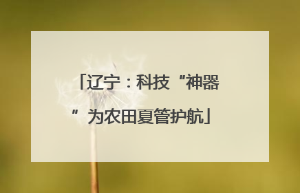 辽宁：科技“神器”为农田夏管护航