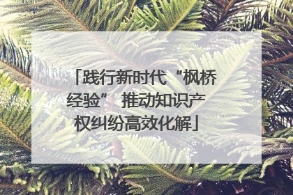 践行新时代“枫桥经验” 推动知识产权纠纷高效化解
