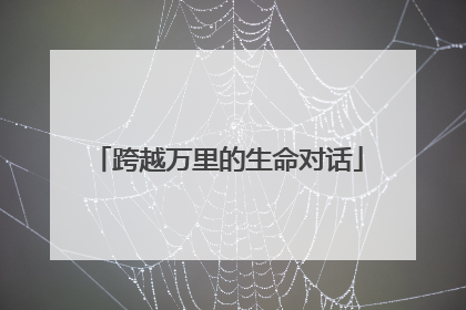 跨越万里的生命对话
