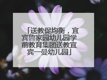 送教促均衡，宜宾鲁家园幼儿园学前教育集团送教宜宾一曼幼儿园