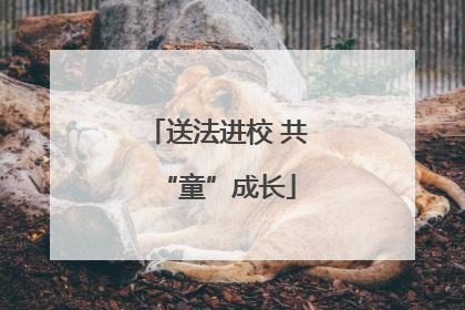 送法进校 共“童”成长
