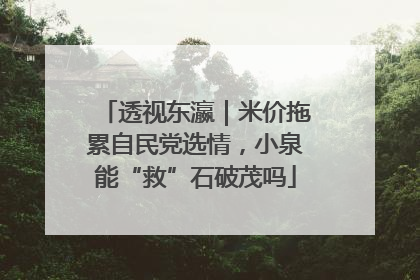 透视东瀛｜米价拖累自民党选情，小泉能“救”石破茂吗