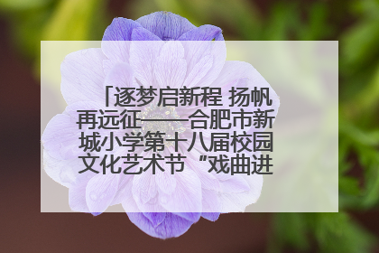 逐梦启新程 扬帆再远征——合肥市新城小学第十八届校园文化艺术节“戏曲进校园专场演出”