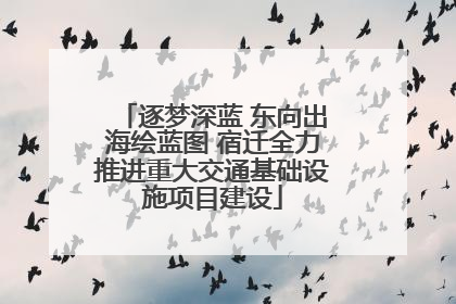 逐梦深蓝 东向出海绘蓝图 宿迁全力推进重大交通基础设施项目建设