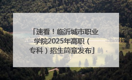 速看！临沂城市职业学院2025年高职（专科）招生简章发布
