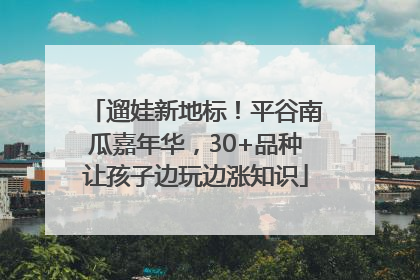 遛娃新地标！平谷南瓜嘉年华，30+品种让孩子边玩边涨知识