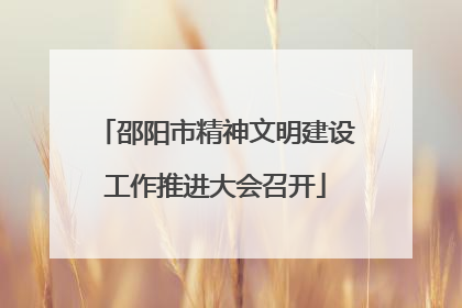 邵阳市精神文明建设工作推进大会召开