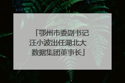 鄂州市委副书记汪小波出任湖北大数据集团董事长