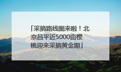 采摘路线图来啦！北京昌平近5000亩樱桃迎来采摘黄金期