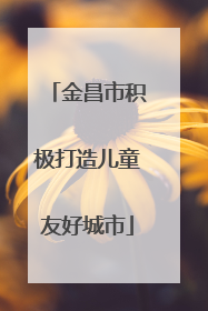 金昌市积极打造儿童友好城市