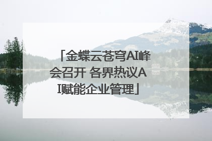 金蝶云苍穹AI峰会召开 各界热议AI赋能企业管理