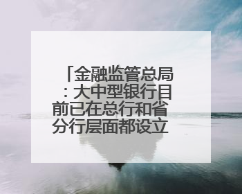 金融监管总局：大中型银行目前已在总行和省分行层面都设立了专门的科技金融部门