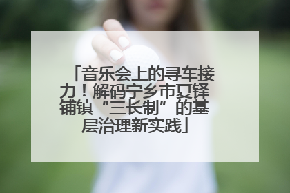 音乐会上的寻车接力！解码宁乡市夏铎铺镇“三长制”的基层治理新实践