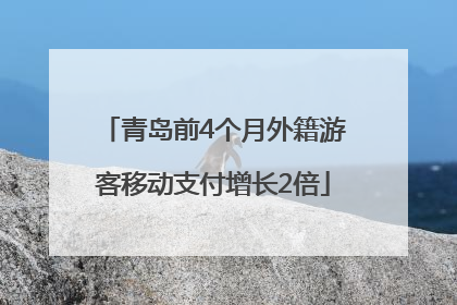 青岛前4个月外籍游客移动支付增长2倍