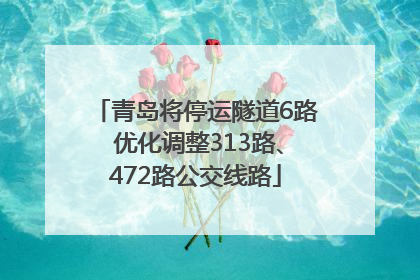 青岛将停运隧道6路 优化调整313路、472路公交线路