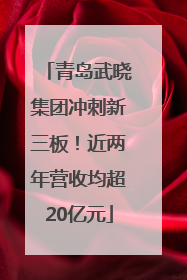 青岛武晓集团冲刺新三板！近两年营收均超20亿元