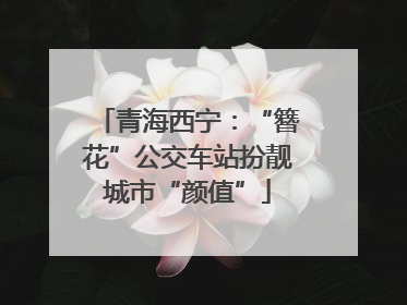 青海西宁：“簪花”公交车站扮靓城市“颜值”
