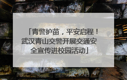 青警护苗，平安启程！武汉青山交警开展交通安全宣传进校园活动