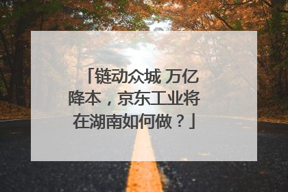 链动众城 万亿降本，京东工业将在湖南如何做？