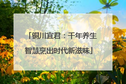 铜川宜君：千年养生智慧烹出时代新滋味