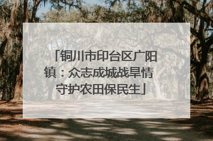 铜川市印台区广阳镇：众志成城战旱情 守护农田保民生