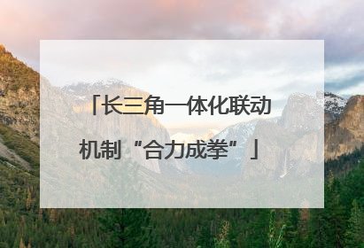 长三角一体化联动机制“合力成拳”