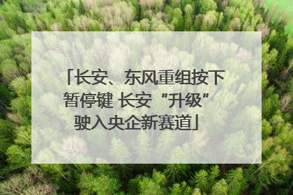 长安、东风重组按下暂停键 长安“升级”驶入央企新赛道
