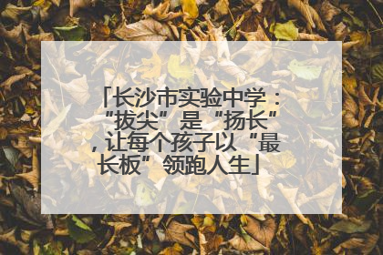 长沙市实验中学：“拔尖”是“扬长”，让每个孩子以“最长板”领跑人生