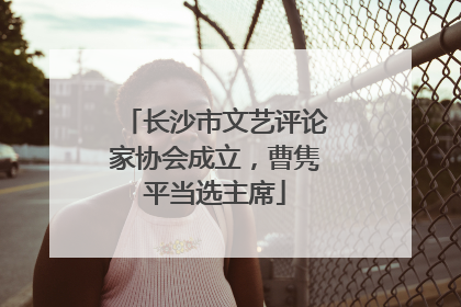 长沙市文艺评论家协会成立，曹隽平当选主席