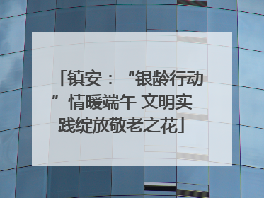 镇安：“银龄行动”情暖端午 文明实践绽放敬老之花