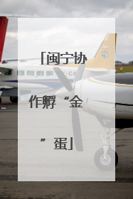 闽宁协作孵“金”蛋