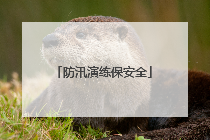 防汛演练保安全
