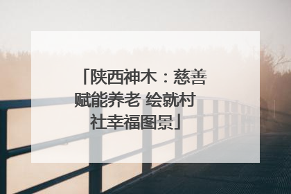 陕西神木：慈善赋能养老 绘就村社幸福图景