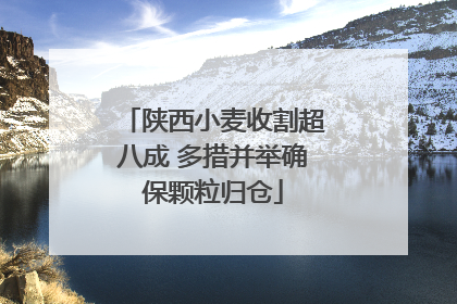 陕西小麦收割超八成 多措并举确保颗粒归仓