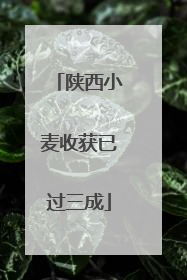 陕西小麦收获已过三成