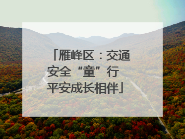 雁峰区：交通安全“童”行 平安成长相伴
