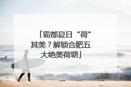 霸都夏日“荷”其美？解锁合肥五大绝美荷塘