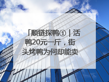 顺链探鸭①｜活鸭20元一斤，街头烤鸭为何却能卖到20多元一只