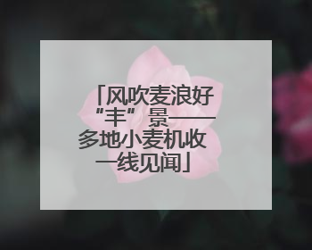 风吹麦浪好“丰”景——多地小麦机收一线见闻