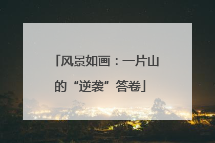 风景如画：一片山的“逆袭”答卷