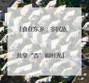 食在东乡：多民族共享“杏”福时光