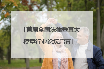 首届全国法律垂直大模型行业论坛启幕