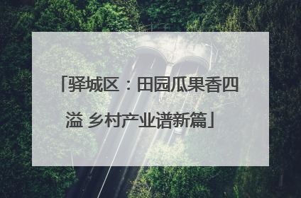 驿城区：田园瓜果香四溢 乡村产业谱新篇