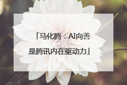 马化腾：AI向善是腾讯内在驱动力