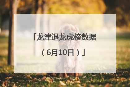 龙津退龙虎榜数据（6月10日）