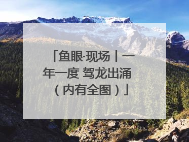 鱼眼·现场丨一年一度 驾龙出涌（内有全图）