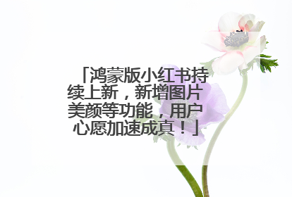 鸿蒙版小红书持续上新，新增图片美颜等功能，用户心愿加速成真！