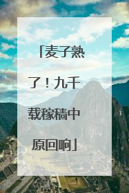 麦子熟了！九千载稼穑中原回响